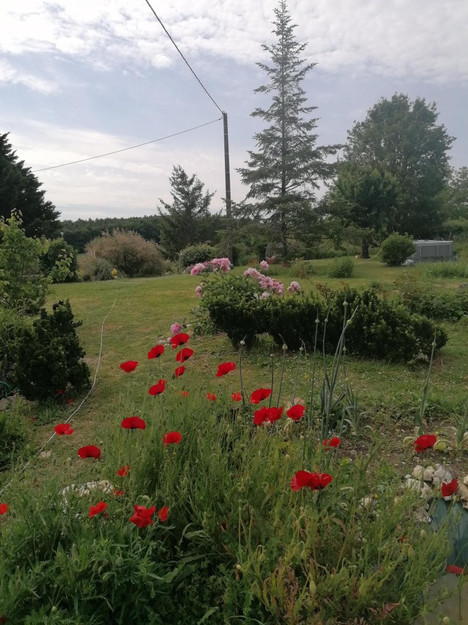 Charmante Maison, Calme Et Nature A La Roche Posay La Roche-Posay Exterior foto