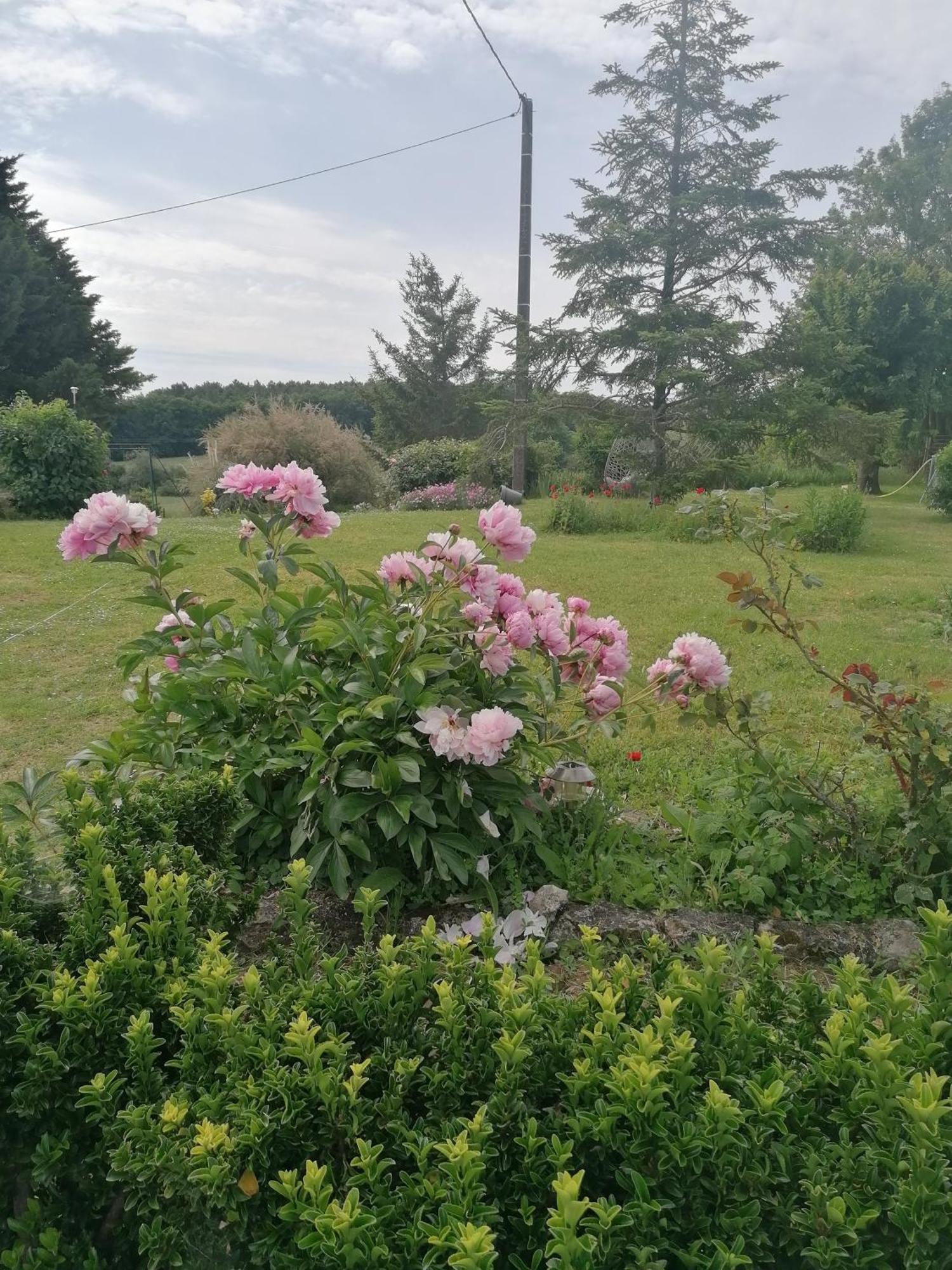 Charmante Maison, Calme Et Nature A La Roche Posay La Roche-Posay Exterior foto