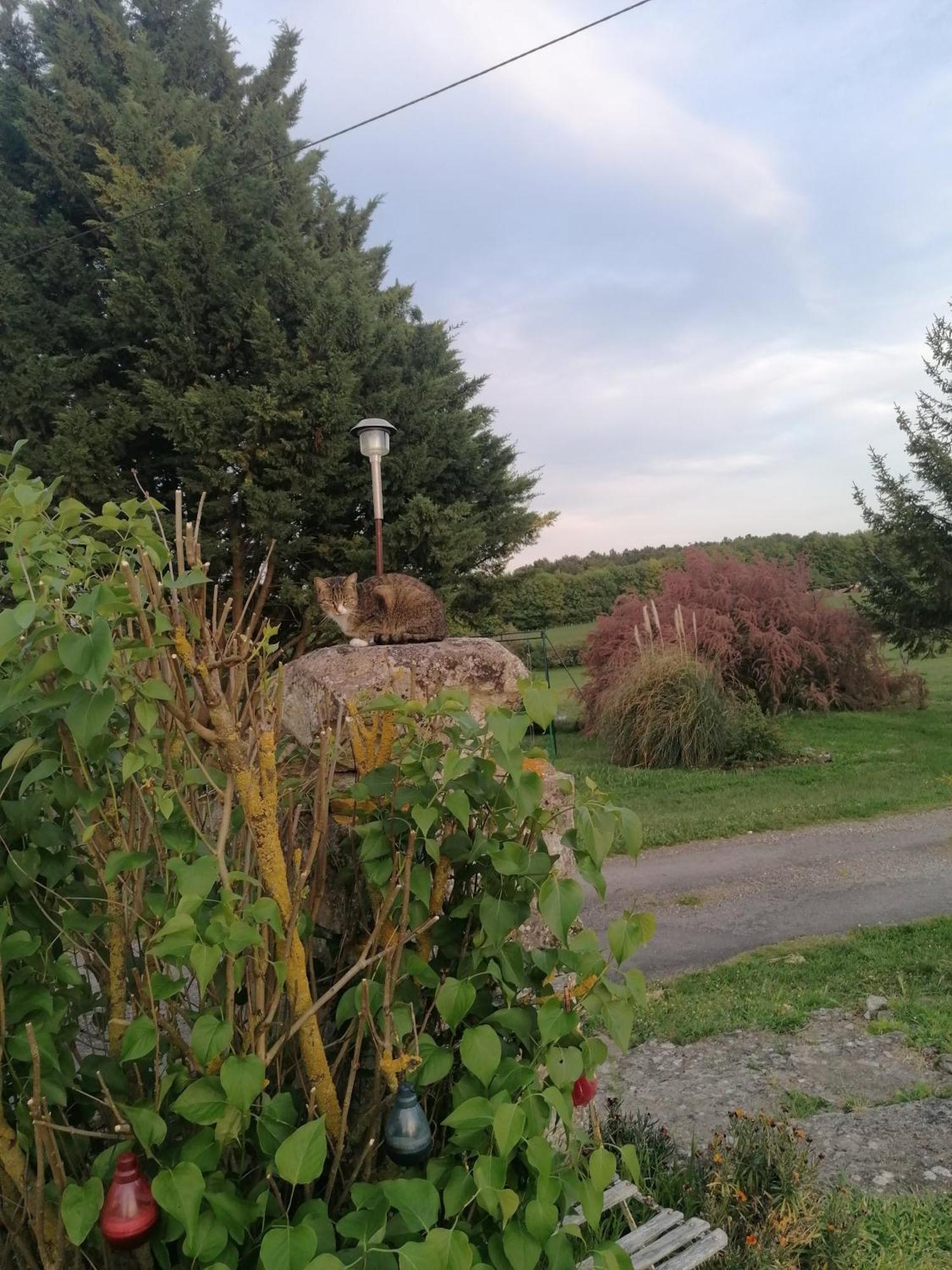 Charmante Maison, Calme Et Nature A La Roche Posay La Roche-Posay Exterior foto